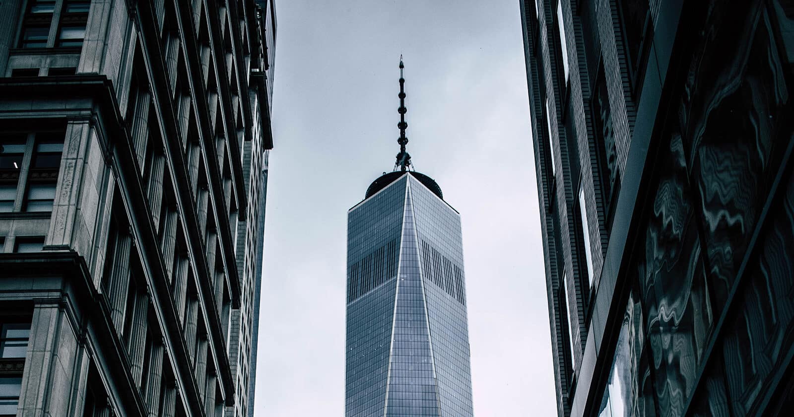 The One World Trade Center in between two buildings
